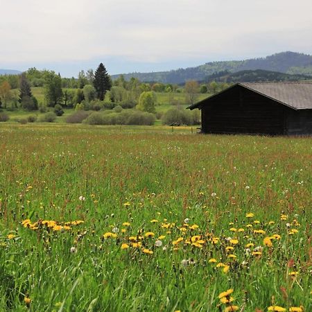 Na Starem Meste Volary Exterior foto